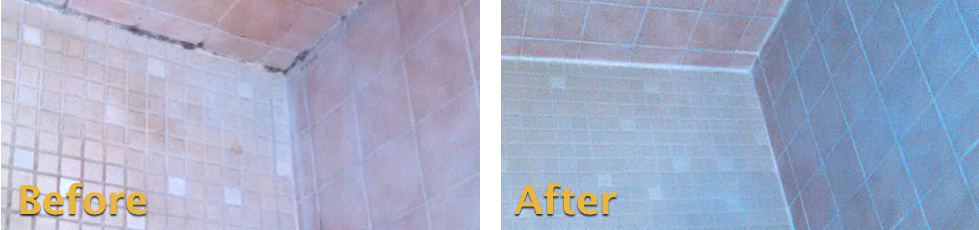 How to Remove Mold in Shower Grout | Grout Rhino Blog